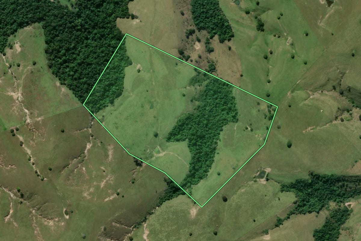 Imagem de satélite do imóvel rural em Ribeirão Claro (PR), com o contorno declarado no CAR desenhado por cima.