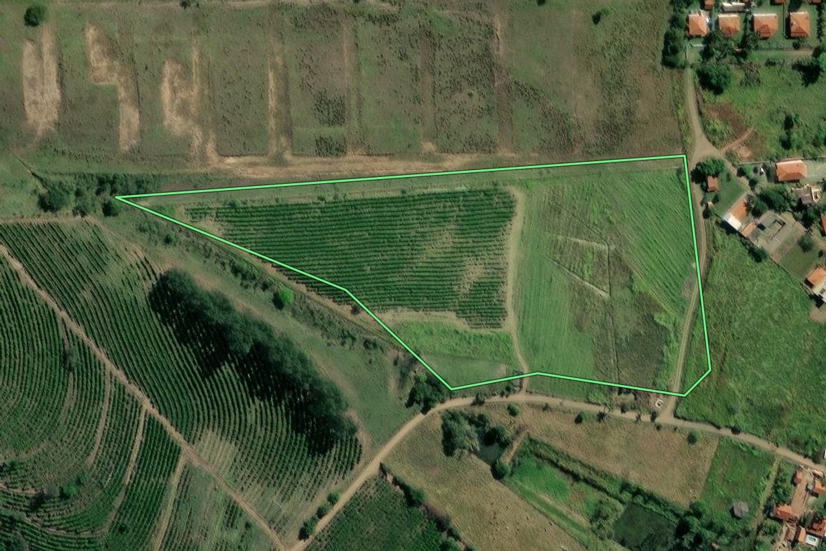 Imagem de satélite do imóvel rural em Ribeirão Claro (PR), com o contorno declarado no CAR desenhado por cima.