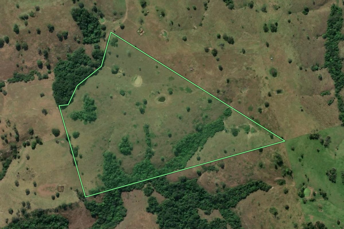 Imagem de satélite do imóvel rural em Ribeirão Claro (PR), com o contorno declarado no CAR desenhado por cima.