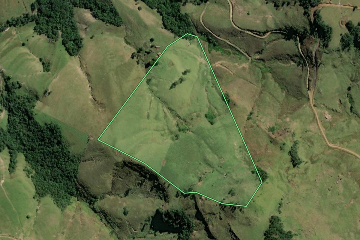 Imagem de satélite do imóvel rural em Ribeirão Claro (PR), com o contorno declarado no CAR desenhado por cima.