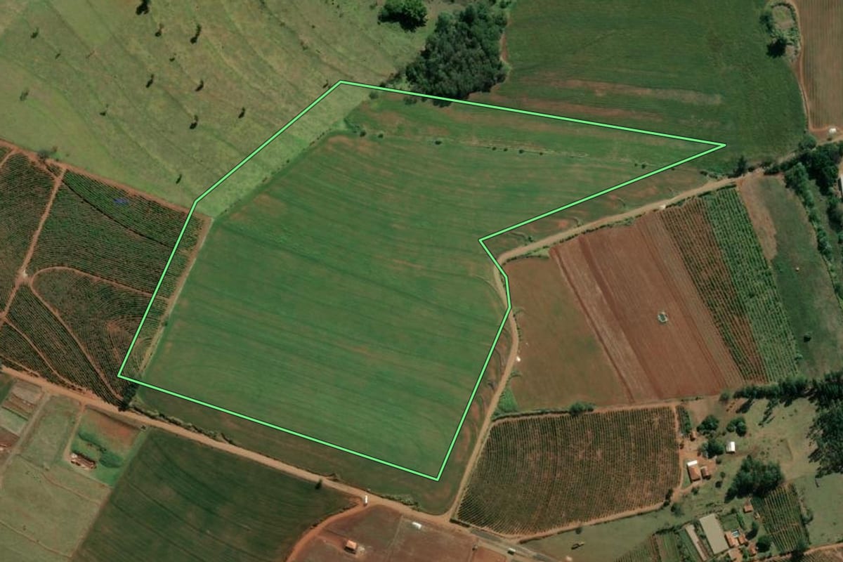 Imagem de satélite do imóvel rural em Ribeirão do Pinhal (PR), com o contorno declarado no CAR desenhado por cima.