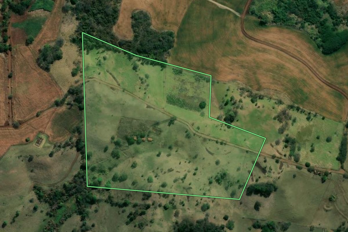 Imagem de satélite do imóvel rural em Ribeirão do Pinhal (PR), com o contorno declarado no CAR desenhado por cima.
