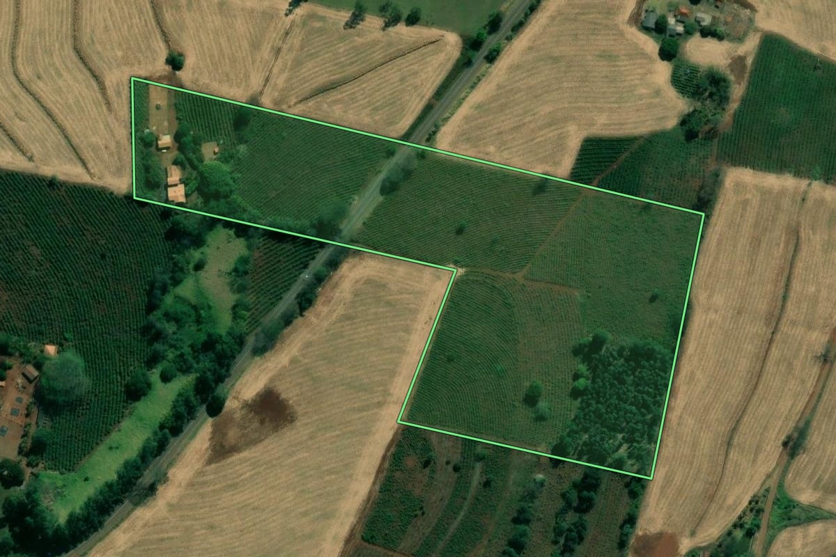 Imagem de satélite do imóvel rural em Ribeirão do Pinhal (PR), com o contorno declarado no CAR desenhado por cima.