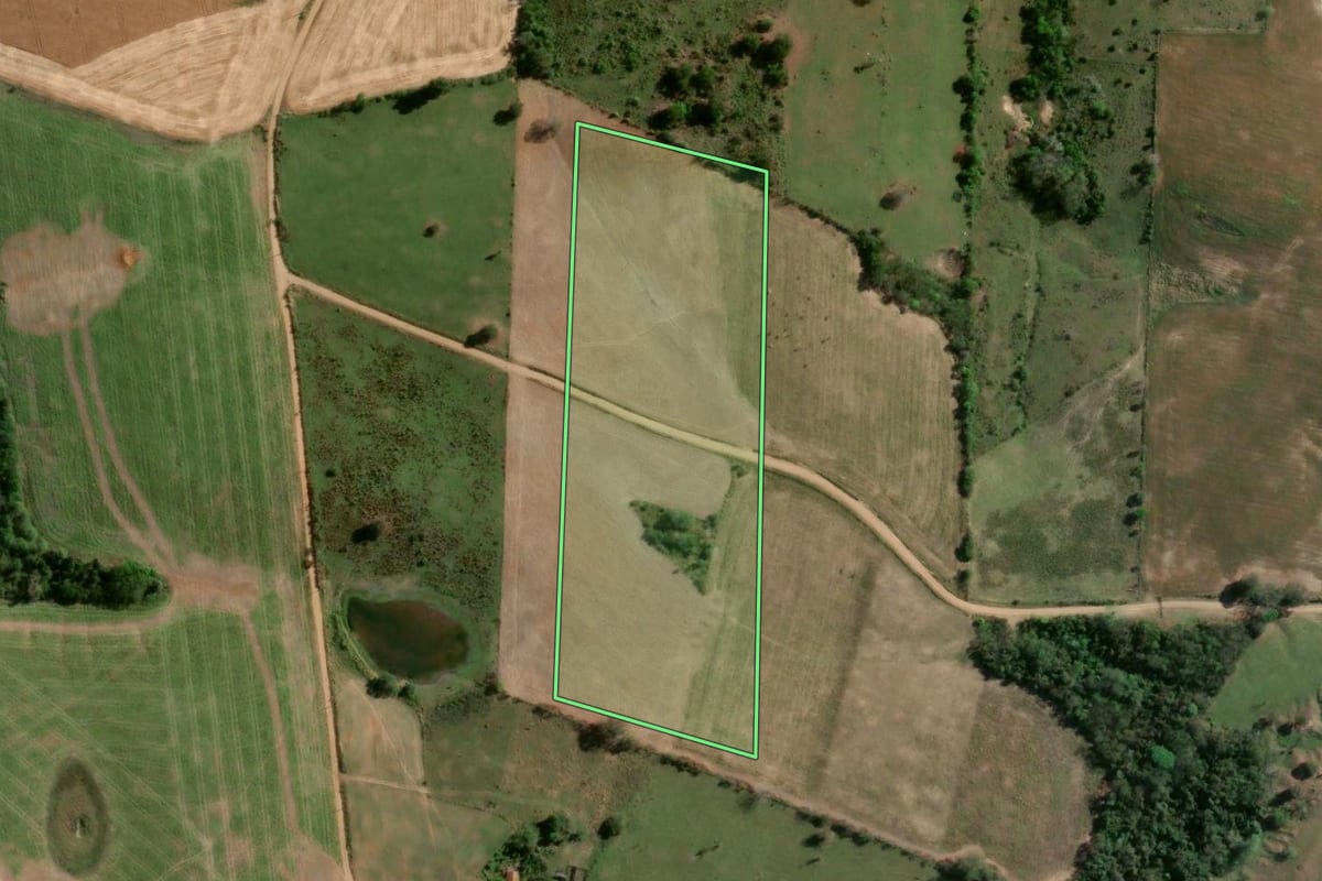 Imagem de satélite do imóvel rural em Ribeirão do Pinhal (PR), com o contorno declarado no CAR desenhado por cima.