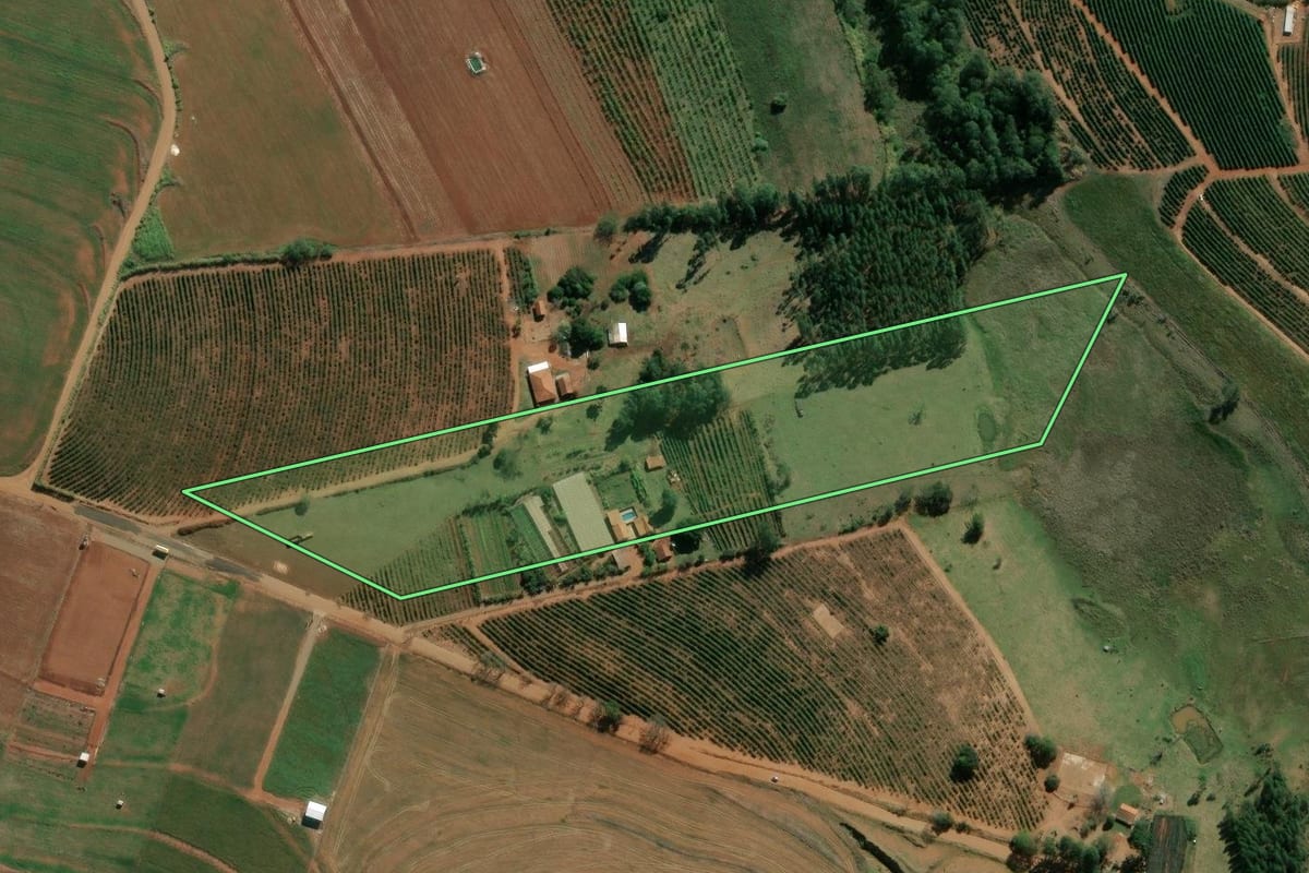 Imagem de satélite do imóvel rural em Ribeirão do Pinhal (PR), com o contorno declarado no CAR desenhado por cima.