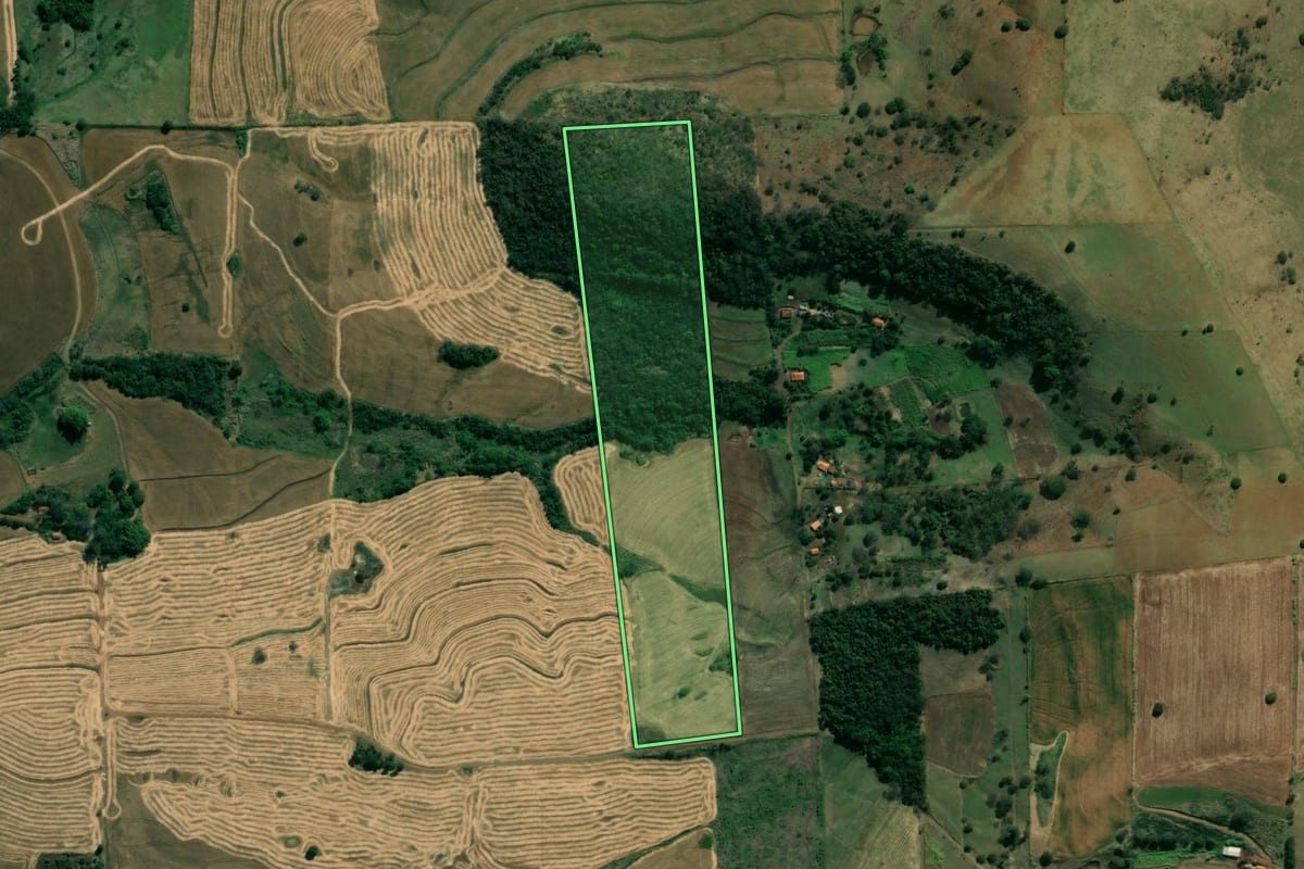 Imagem de satélite do imóvel rural em Ribeirão do Pinhal (PR), com o contorno declarado no CAR desenhado por cima.