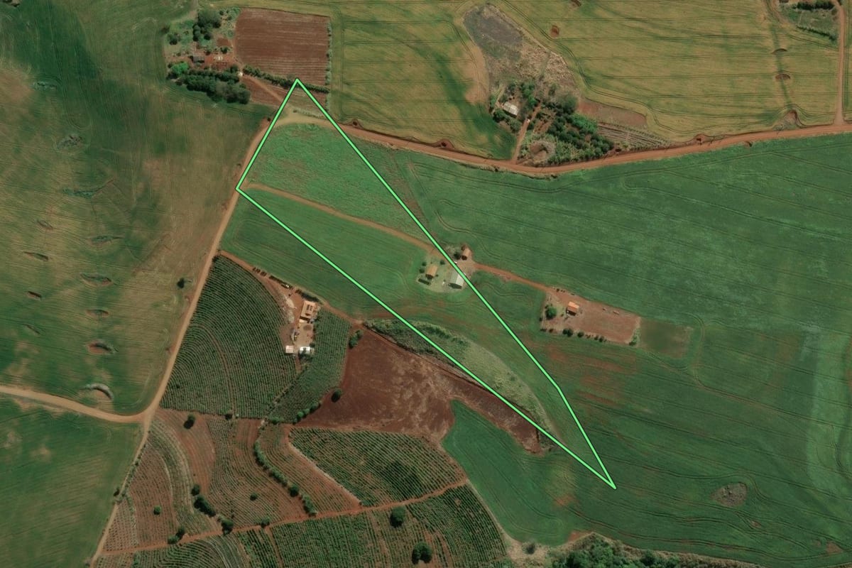 Imagem de satélite do imóvel rural em Ribeirão do Pinhal (PR), com o contorno declarado no CAR desenhado por cima.