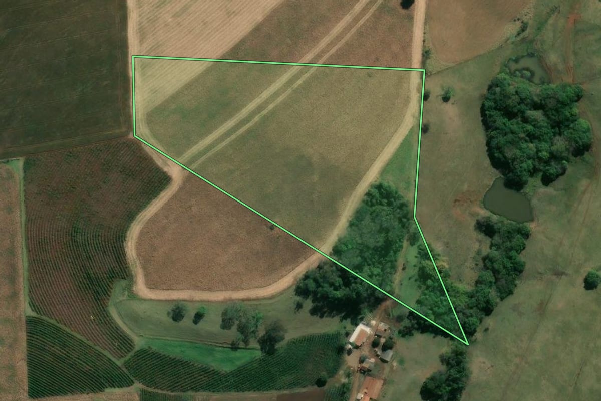 Imagem de satélite do imóvel rural em Ribeirão do Pinhal (PR), com o contorno declarado no CAR desenhado por cima.