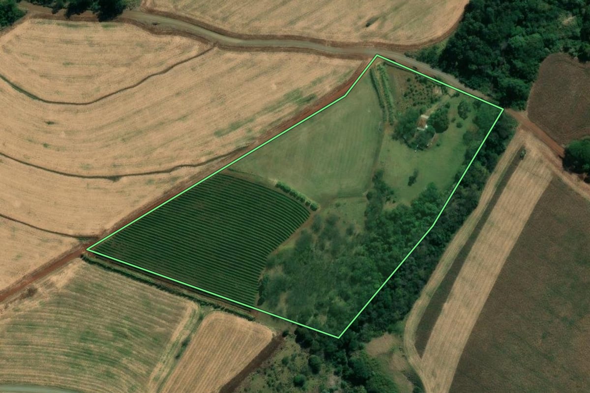 Imagem de satélite do imóvel rural em Ribeirão do Pinhal (PR), com o contorno declarado no CAR desenhado por cima.