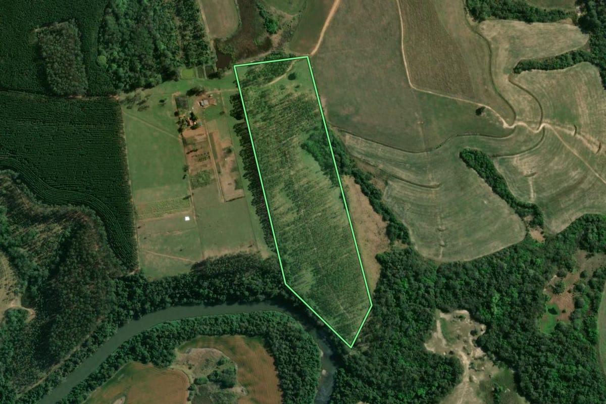 Imagem de satélite do imóvel rural em Ribeirão do Pinhal (PR), com o contorno declarado no CAR desenhado por cima.