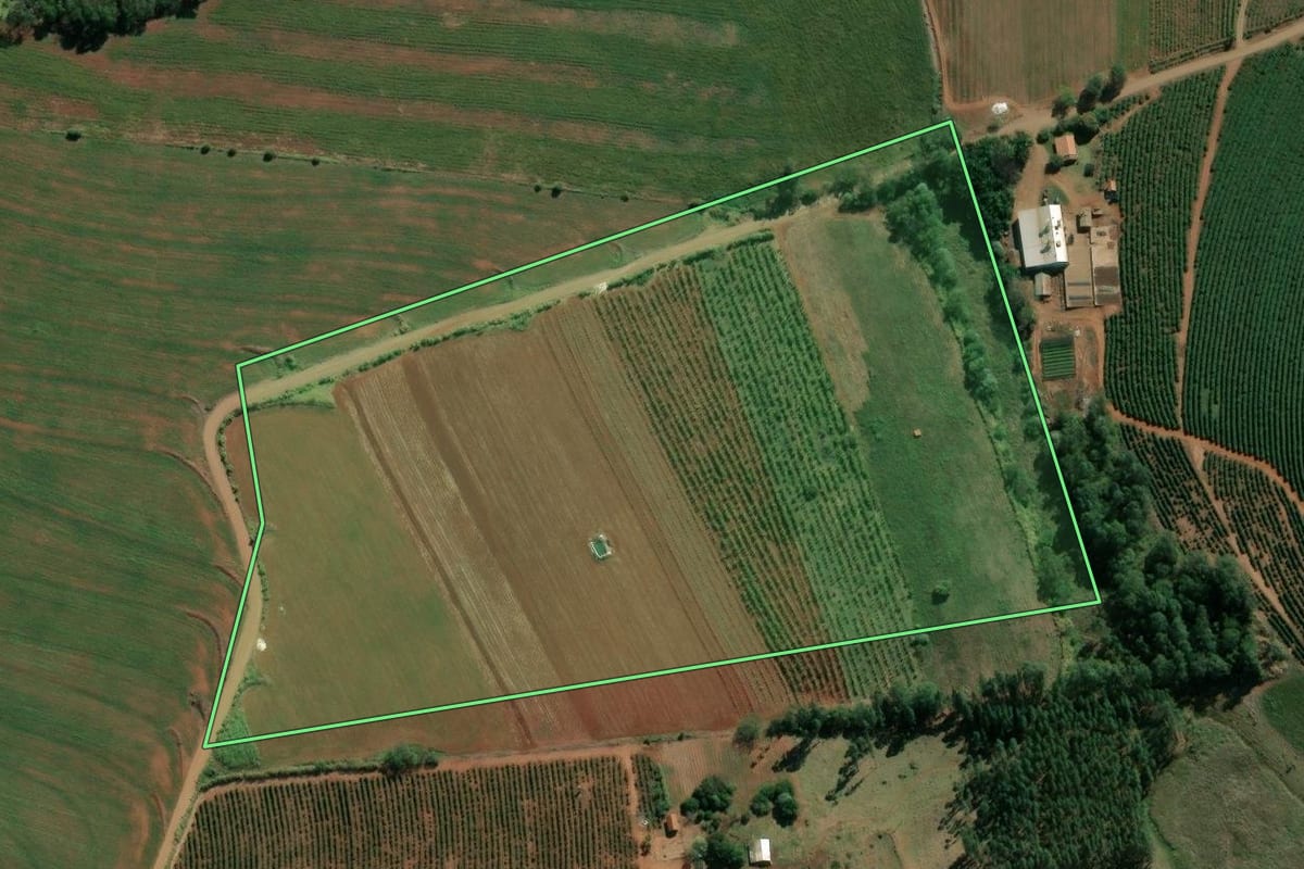 Imagem de satélite do imóvel rural em Ribeirão do Pinhal (PR), com o contorno declarado no CAR desenhado por cima.