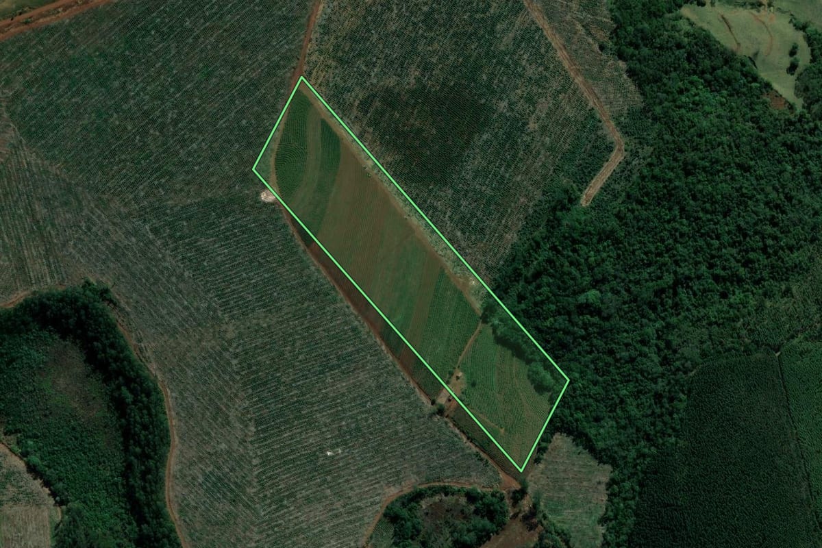 Imagem de satélite do imóvel rural em Ribeirão do Pinhal (PR), com o contorno declarado no CAR desenhado por cima.