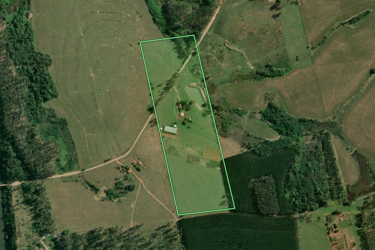 Imagem de satélite do imóvel rural em Ribeirão do Pinhal (PR), com o contorno declarado no CAR desenhado por cima.