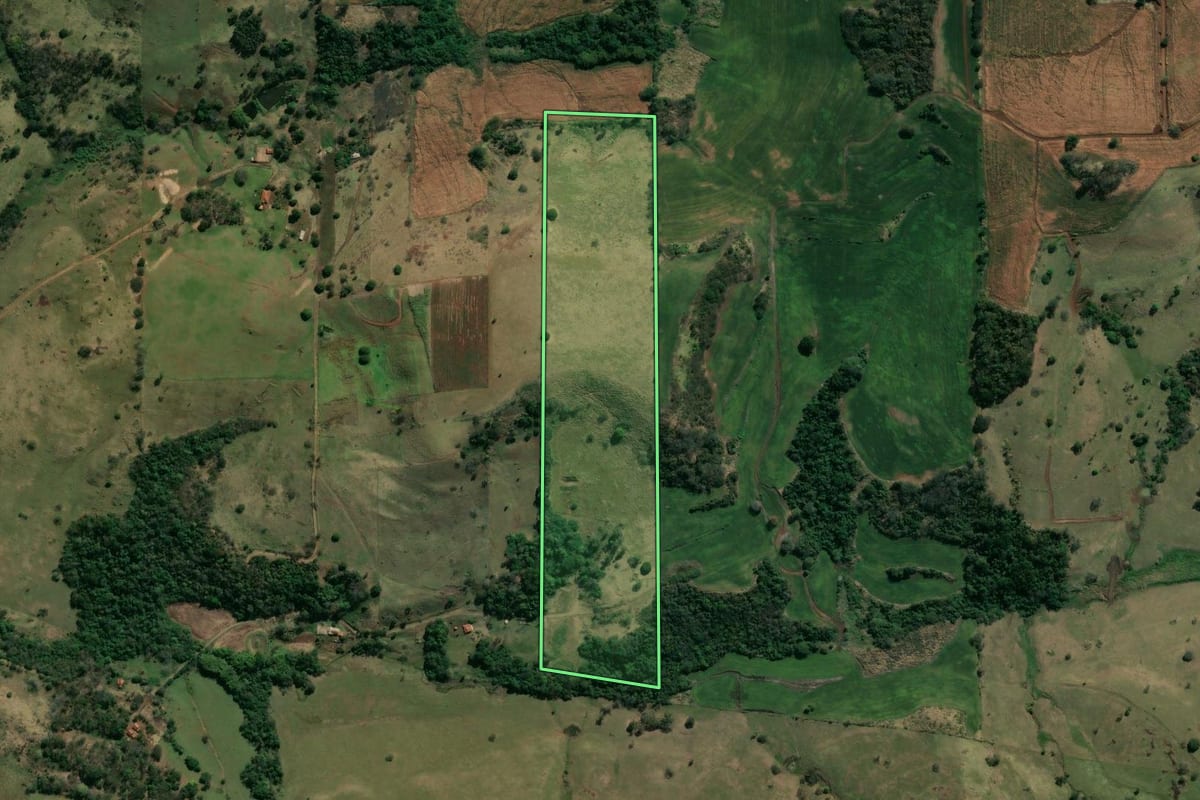 Imagem de satélite do imóvel rural em Ribeirão do Pinhal (PR), com o contorno declarado no CAR desenhado por cima.