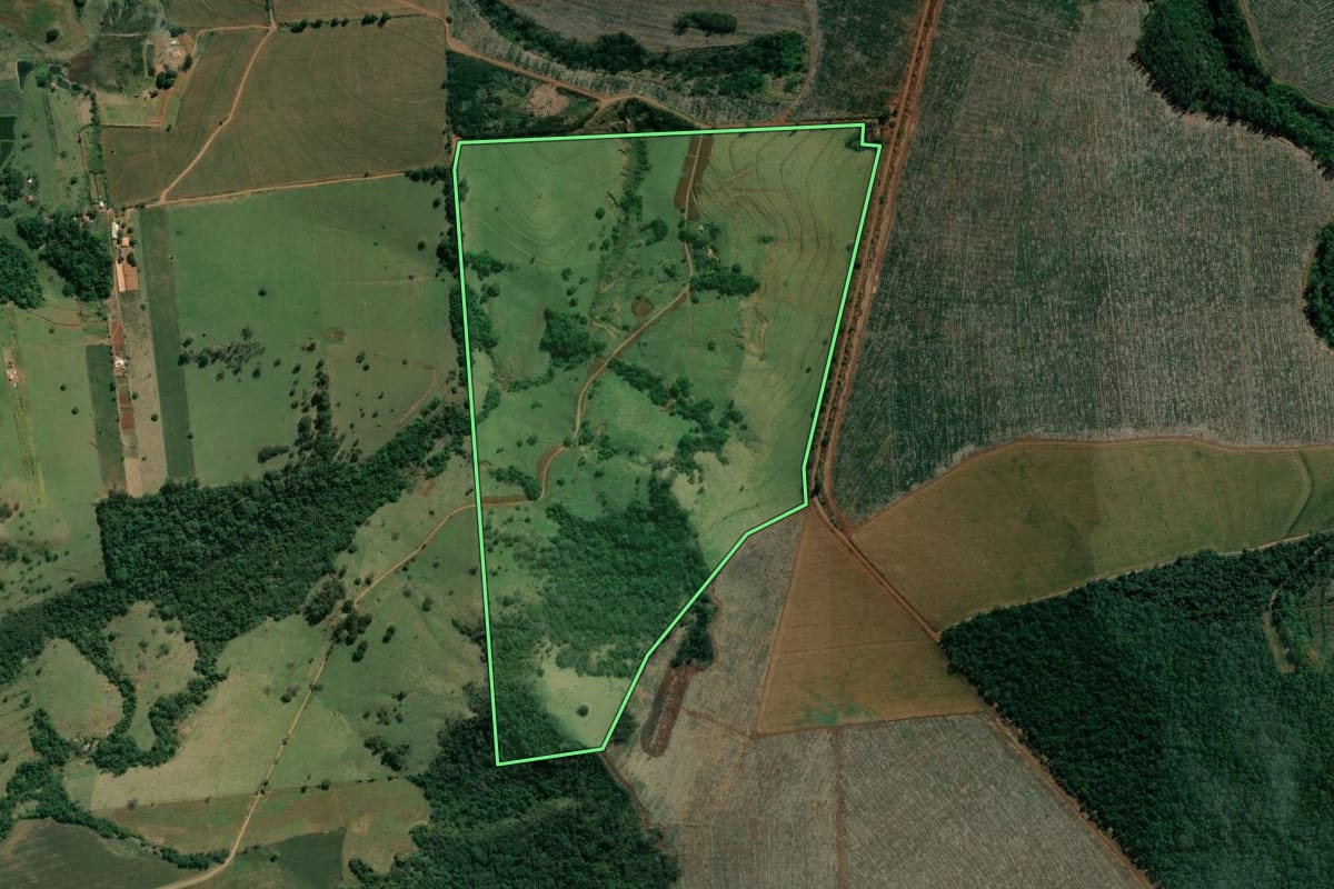 Imagem de satélite do imóvel rural em Ribeirão do Pinhal (PR), com o contorno declarado no CAR desenhado por cima.