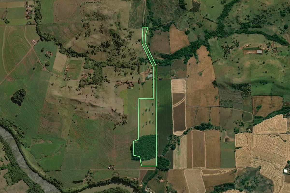 Imagem de satélite do imóvel rural em Ribeirão do Pinhal (PR), com o contorno declarado no CAR desenhado por cima.