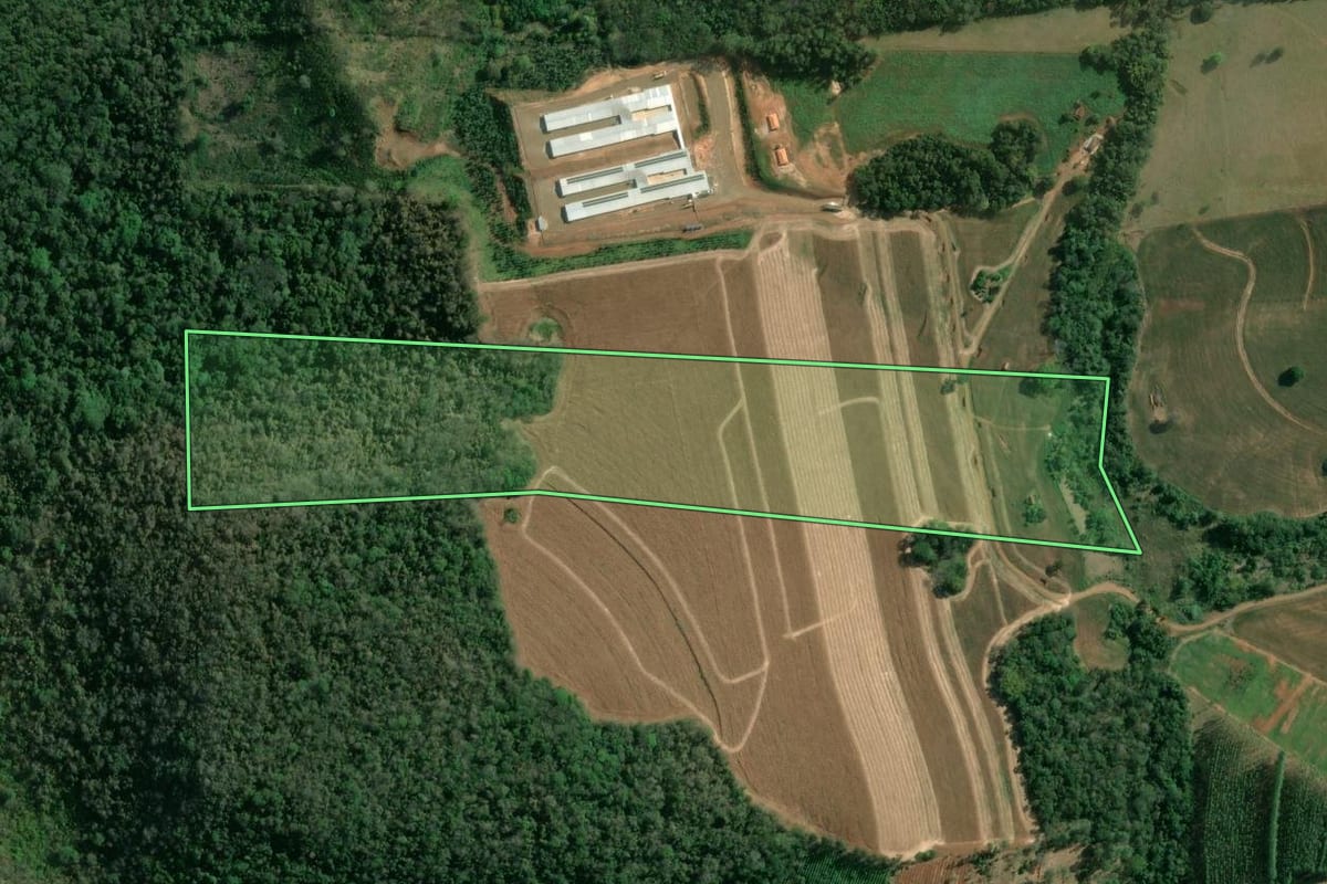 Imagem de satélite do imóvel rural em Ribeirão do Pinhal (PR), com o contorno declarado no CAR desenhado por cima.