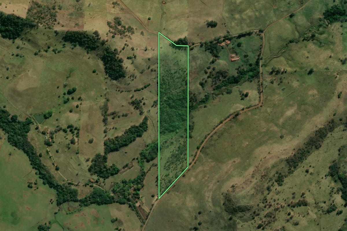 Imagem de satélite do imóvel rural em Ribeirão do Pinhal (PR), com o contorno declarado no CAR desenhado por cima.