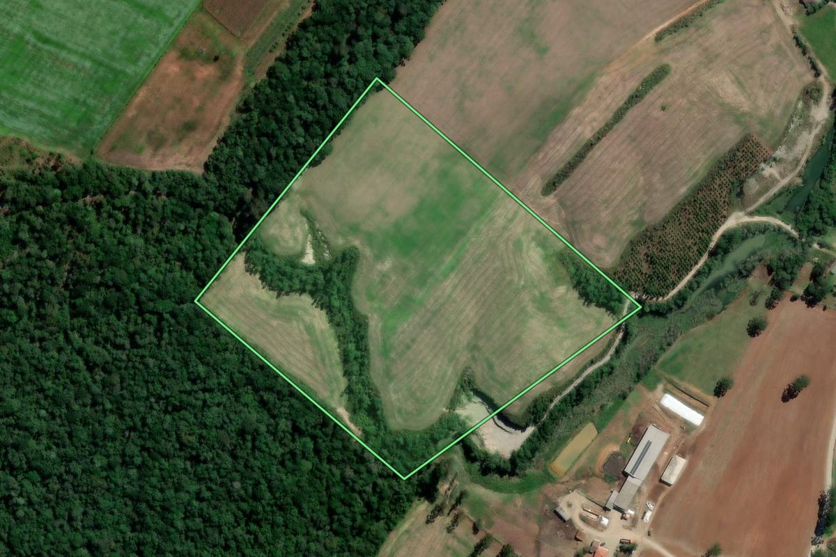 Imagem de satélite do imóvel rural em Rio Azul (PR), com o contorno declarado no CAR desenhado por cima.