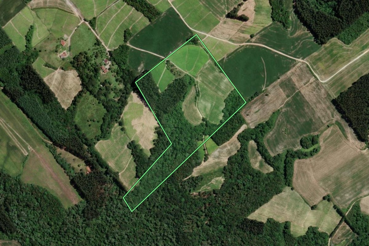 Imagem de satélite do imóvel rural em Rio Azul (PR), com o contorno declarado no CAR desenhado por cima.