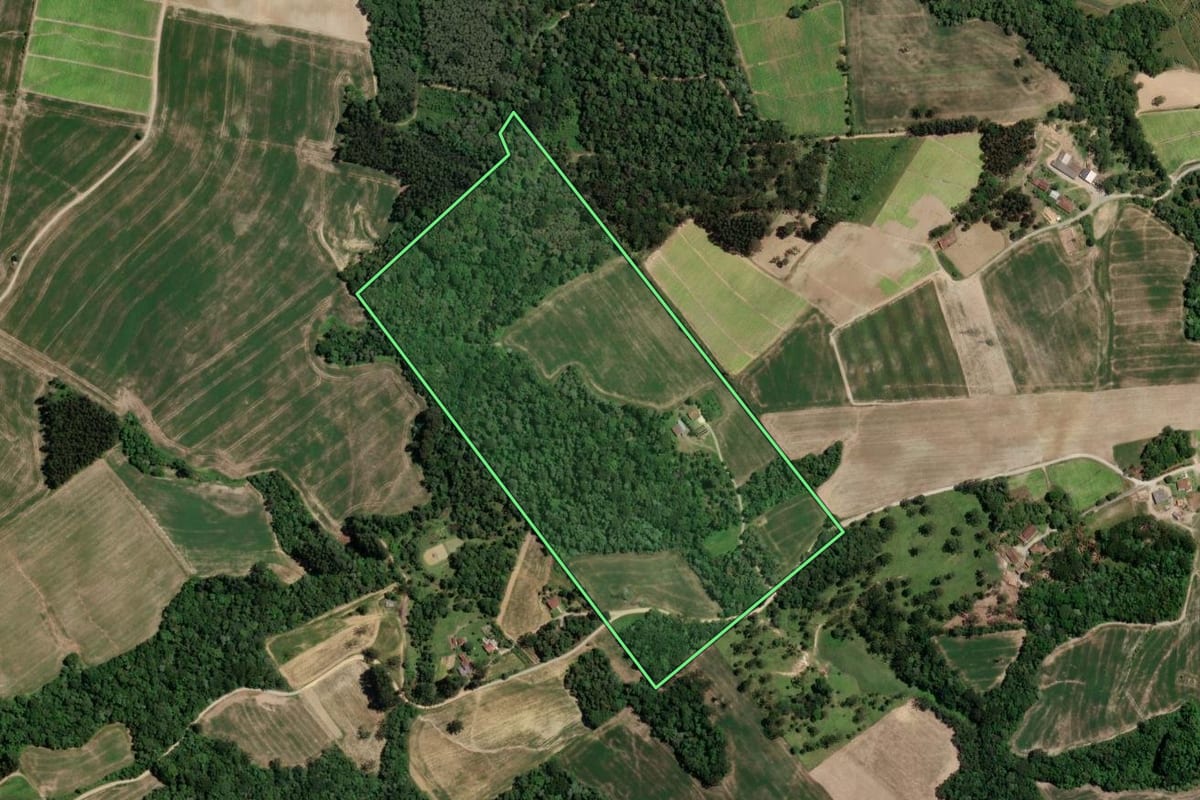 Imagem de satélite do imóvel rural em Rio Azul (PR), com o contorno declarado no CAR desenhado por cima.