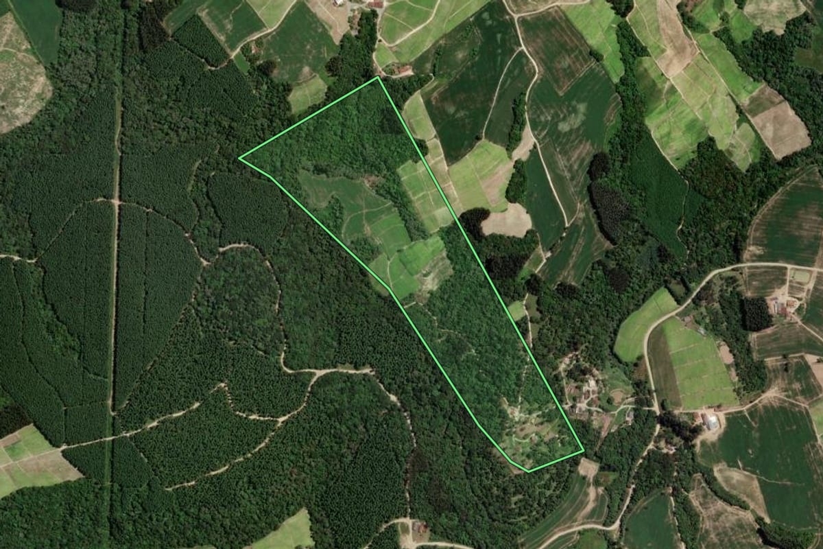 Imagem de satélite do imóvel rural em Rio Azul (PR), com o contorno declarado no CAR desenhado por cima.