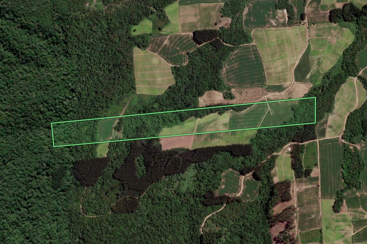 Imagem de satélite do imóvel rural em Rio Azul (PR), com o contorno declarado no CAR desenhado por cima.