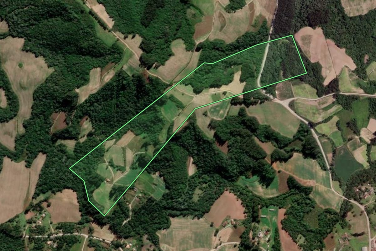 Imagem de satélite do imóvel rural em Rio Azul (PR), com o contorno declarado no CAR desenhado por cima.