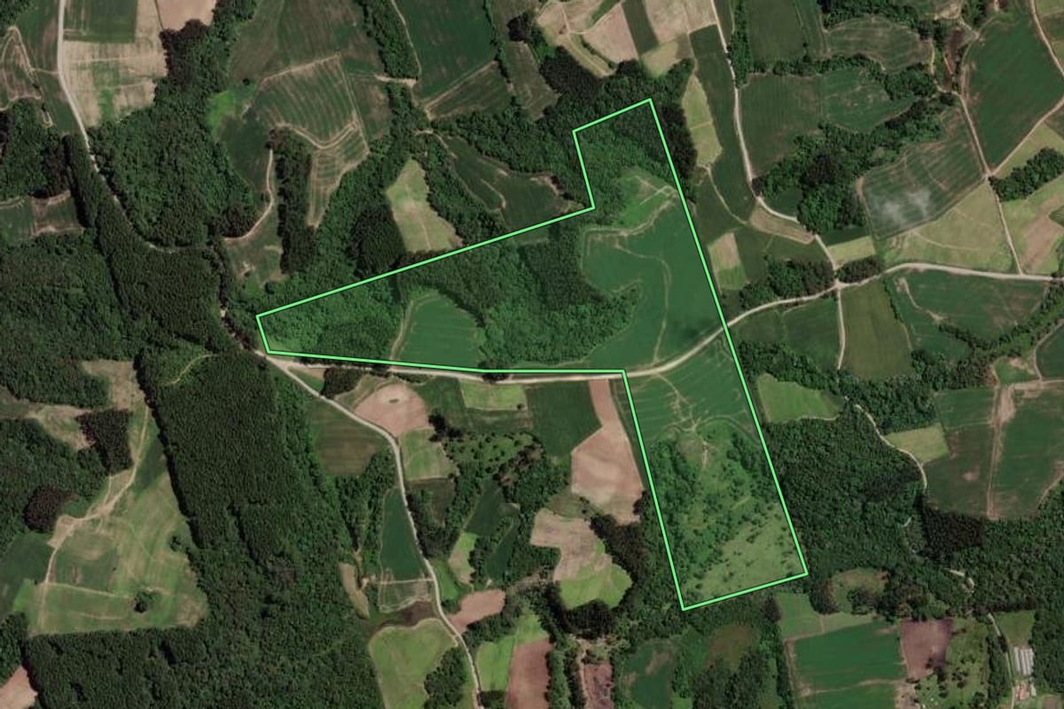 Imagem de satélite do imóvel rural em Rio Azul (PR), com o contorno declarado no CAR desenhado por cima.