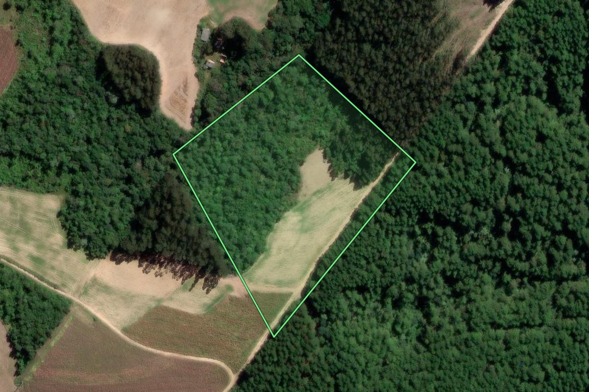 Imagem de satélite do imóvel rural em Rio Azul (PR), com o contorno declarado no CAR desenhado por cima.
