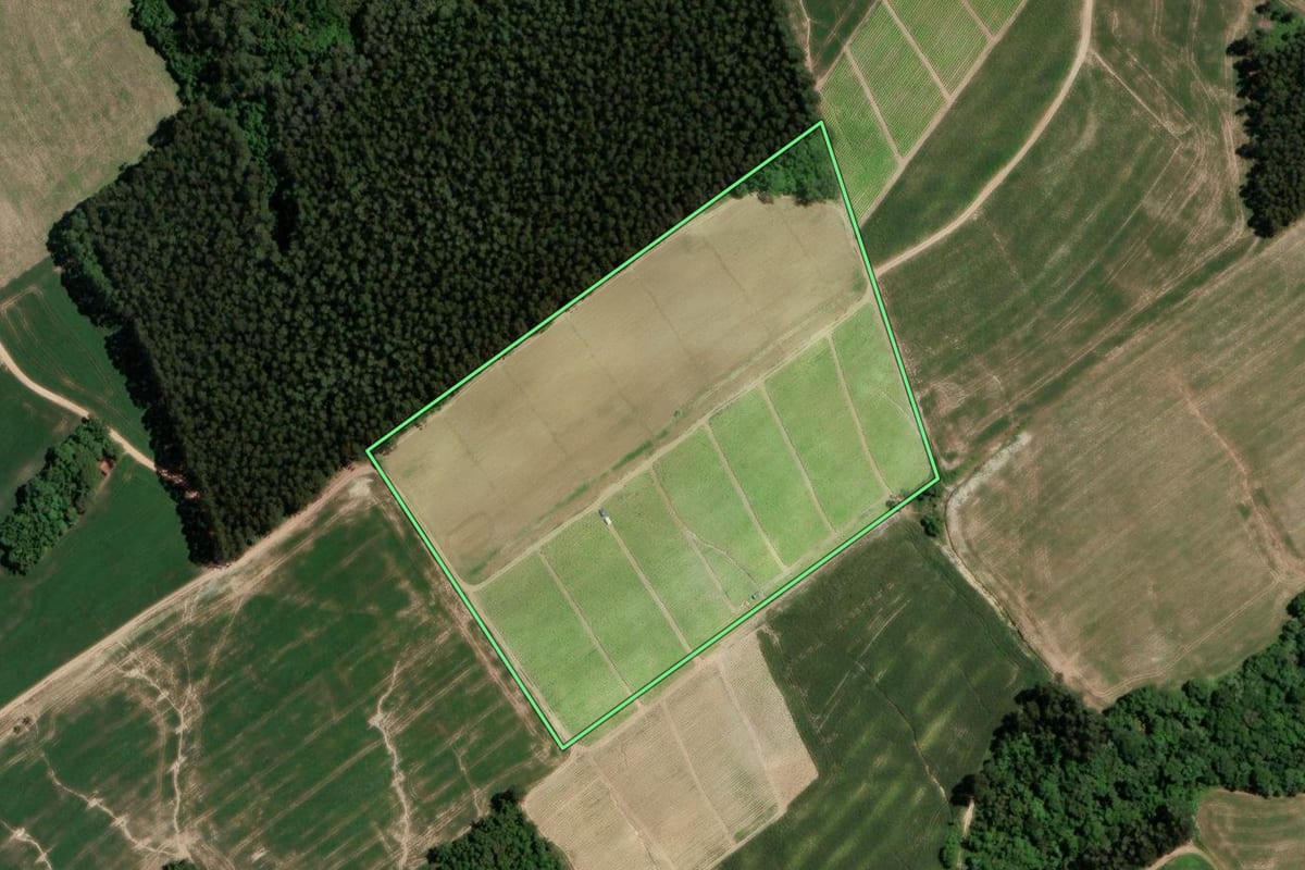 Imagem de satélite do imóvel rural em Rio Azul (PR), com o contorno declarado no CAR desenhado por cima.