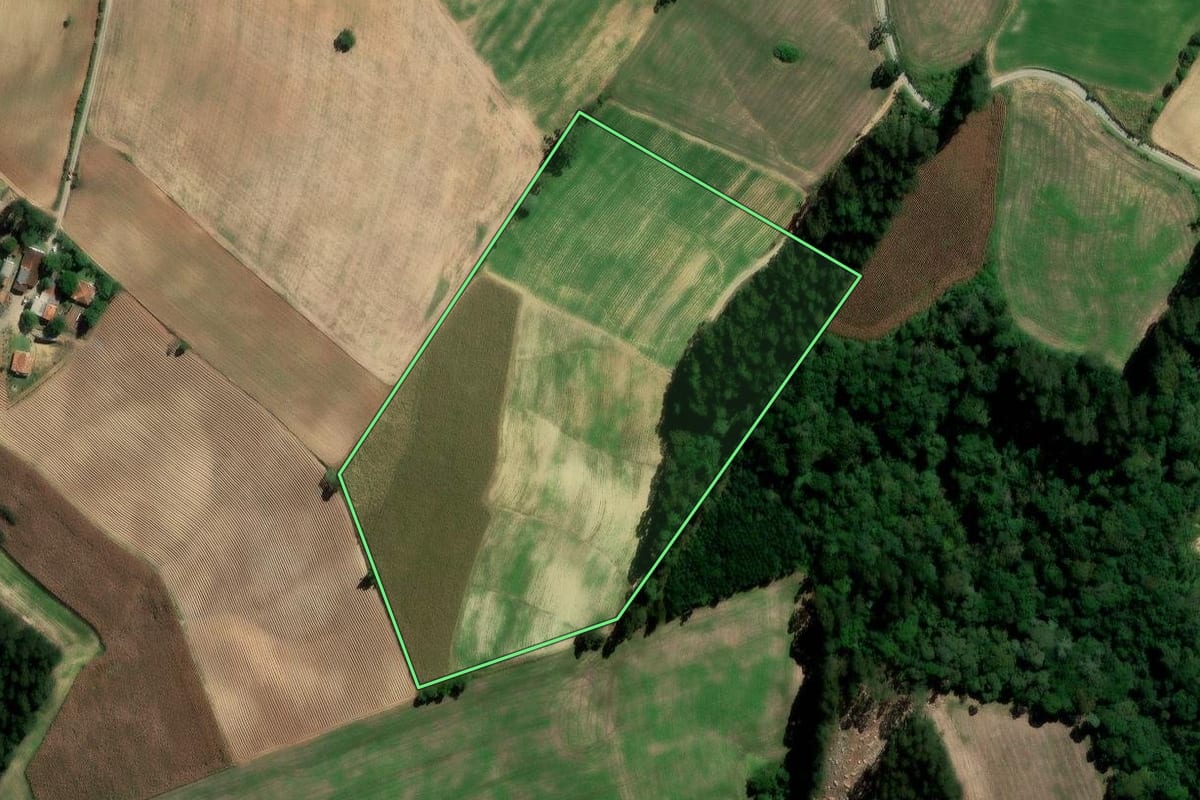 Imagem de satélite do imóvel rural em Rio Azul (PR), com o contorno declarado no CAR desenhado por cima.