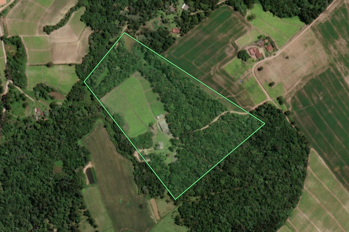 Imagem de satélite do imóvel rural em Rio Azul (PR), com o contorno declarado no CAR desenhado por cima.