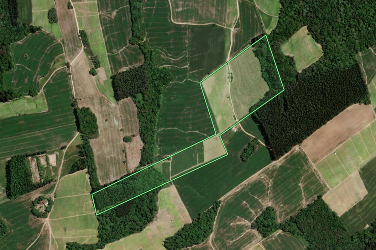Imagem de satélite do imóvel rural em Rio Azul (PR), com o contorno declarado no CAR desenhado por cima.