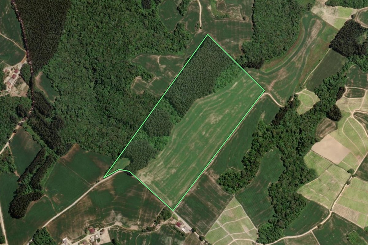 Imagem de satélite do imóvel rural em Rio Azul (PR), com o contorno declarado no CAR desenhado por cima.