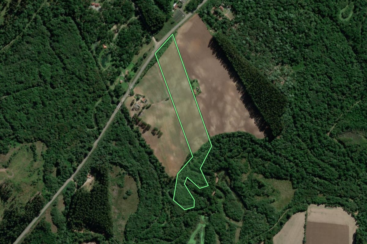 Imagem de satélite do imóvel rural em Rio Azul (PR), com o contorno declarado no CAR desenhado por cima.
