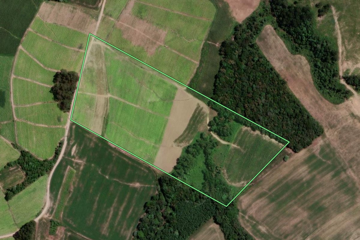Imagem de satélite do imóvel rural em Rio Azul (PR), com o contorno declarado no CAR desenhado por cima.