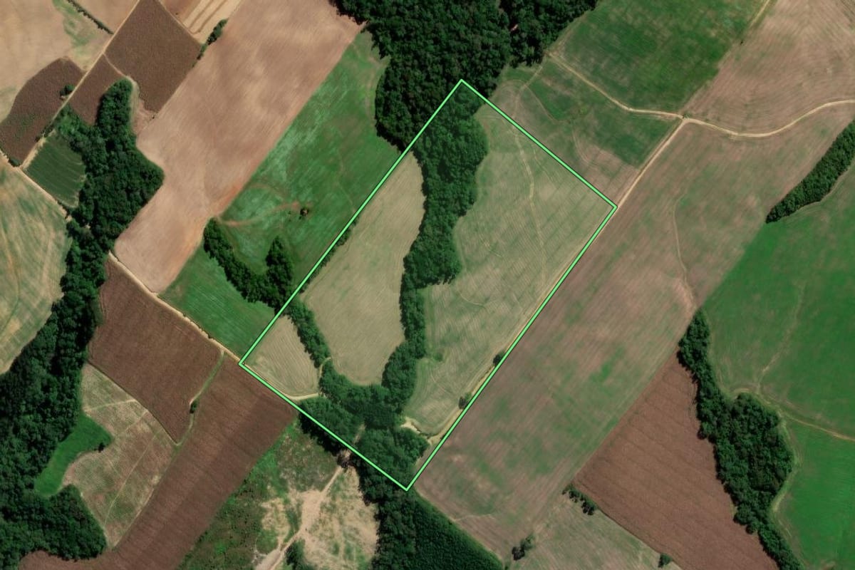 Imagem de satélite do imóvel rural em Rio Azul (PR), com o contorno declarado no CAR desenhado por cima.