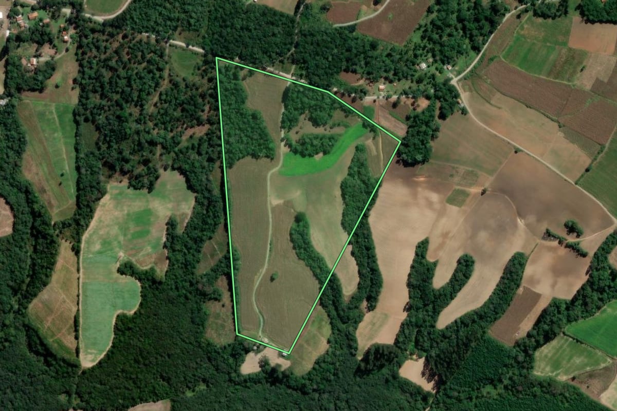 Imagem de satélite do imóvel rural em Rio Azul (PR), com o contorno declarado no CAR desenhado por cima.