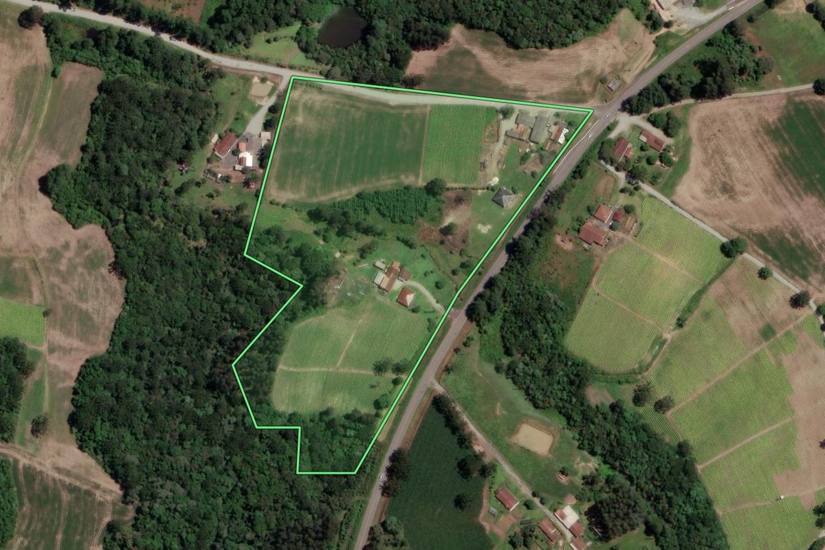 Imagem de satélite do imóvel rural em Rio Azul (PR), com o contorno declarado no CAR desenhado por cima.
