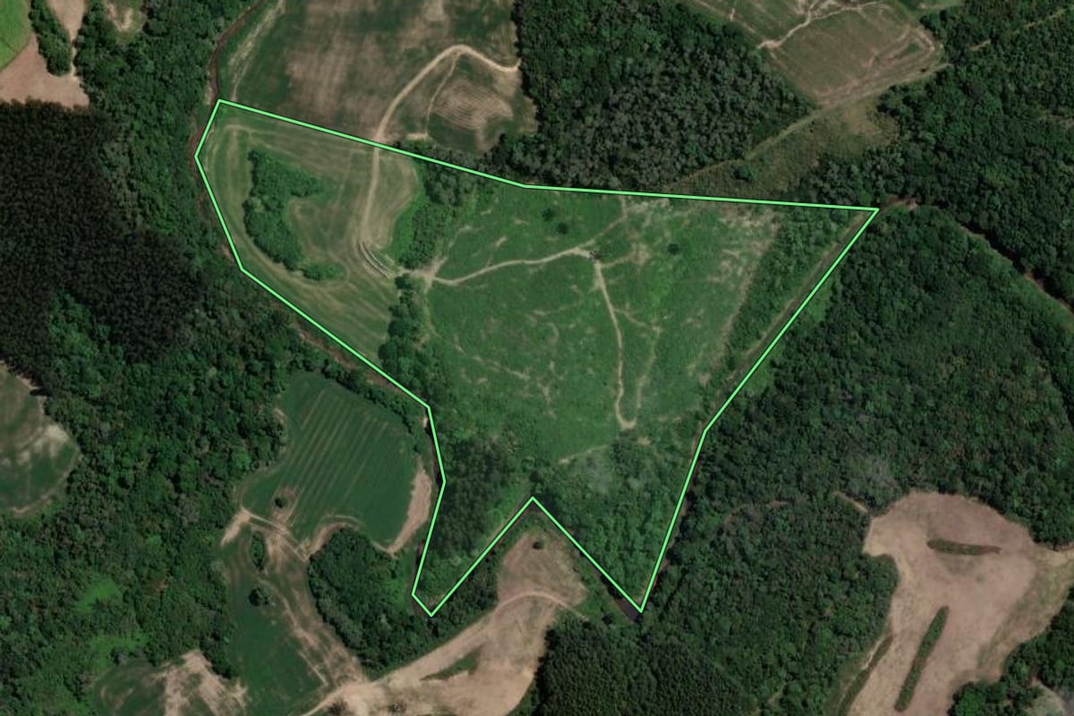 Imagem de satélite do imóvel rural em Rio Azul (PR), com o contorno declarado no CAR desenhado por cima.