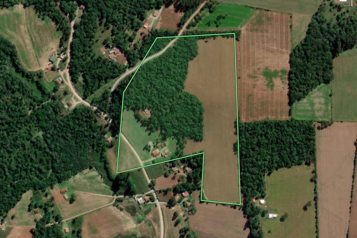 Imagem de satélite do imóvel rural em Rio Azul (PR), com o contorno declarado no CAR desenhado por cima.