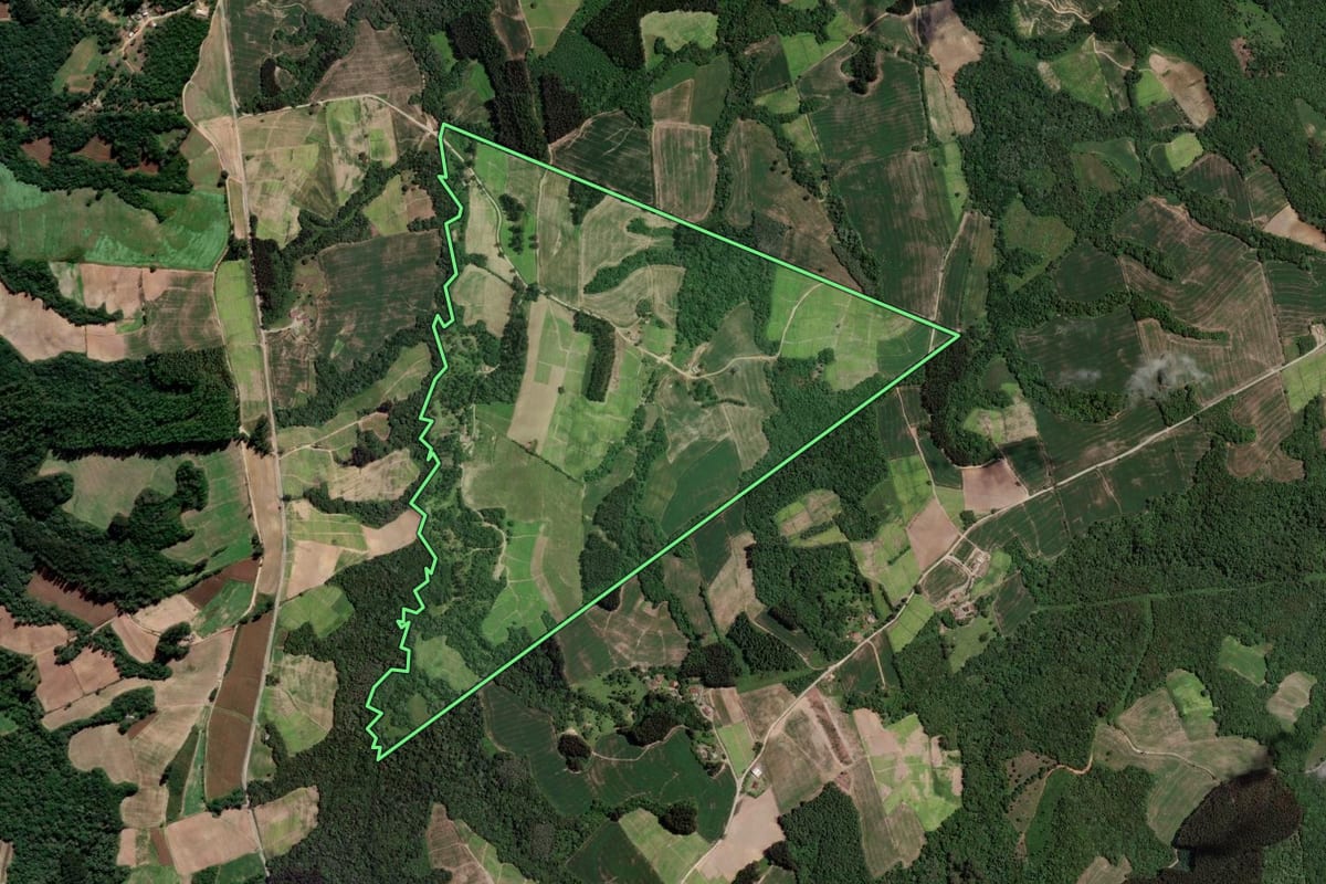 Imagem de satélite do imóvel rural em Rio Azul (PR), com o contorno declarado no CAR desenhado por cima.