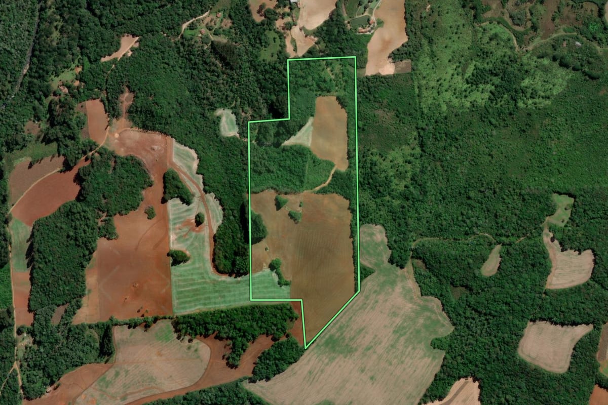 Imagem de satélite do imóvel rural em Rio Azul (PR), com o contorno declarado no CAR desenhado por cima.