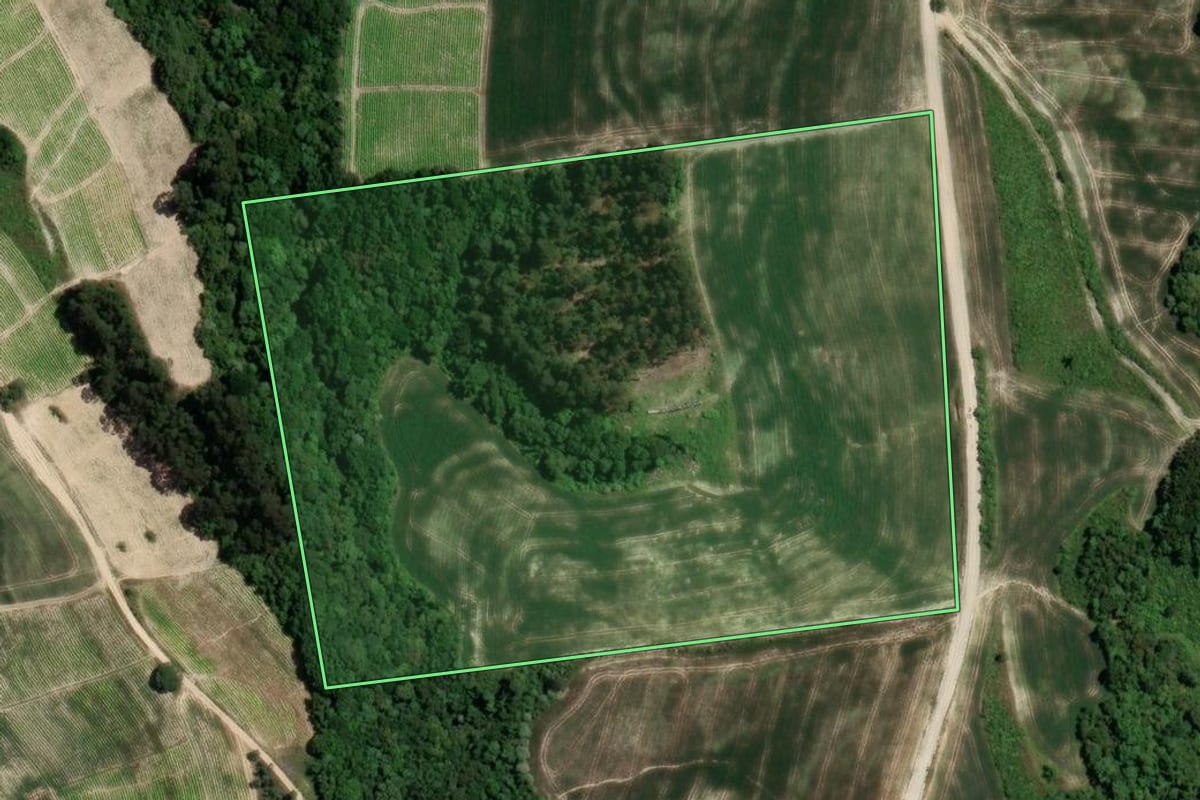 Imagem de satélite do imóvel rural em Rio Azul (PR), com o contorno declarado no CAR desenhado por cima.