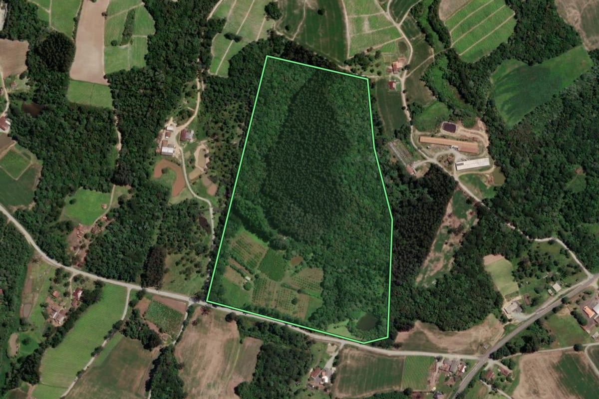 Imagem de satélite do imóvel rural em Rio Azul (PR), com o contorno declarado no CAR desenhado por cima.