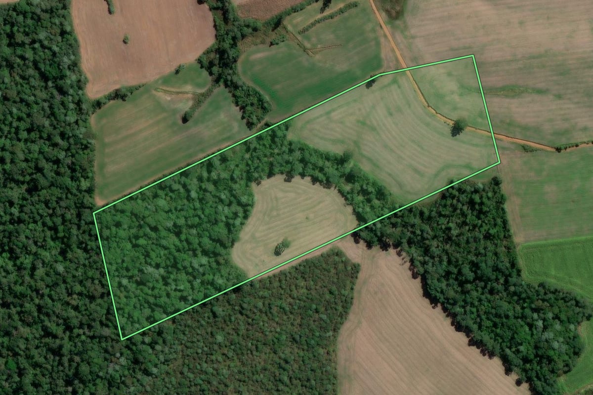 Imagem de satélite do imóvel rural em Rio Azul (PR), com o contorno declarado no CAR desenhado por cima.