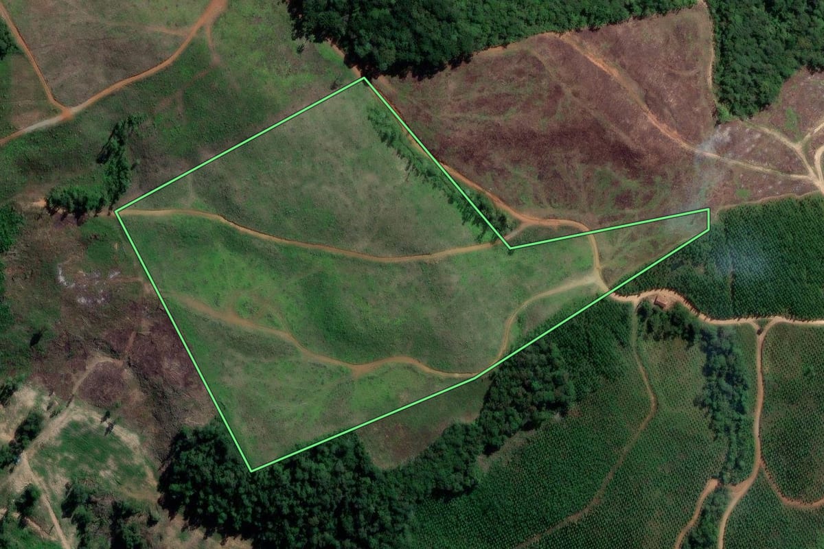 Imagem de satélite do imóvel rural em Rio Azul (PR), com o contorno declarado no CAR desenhado por cima.