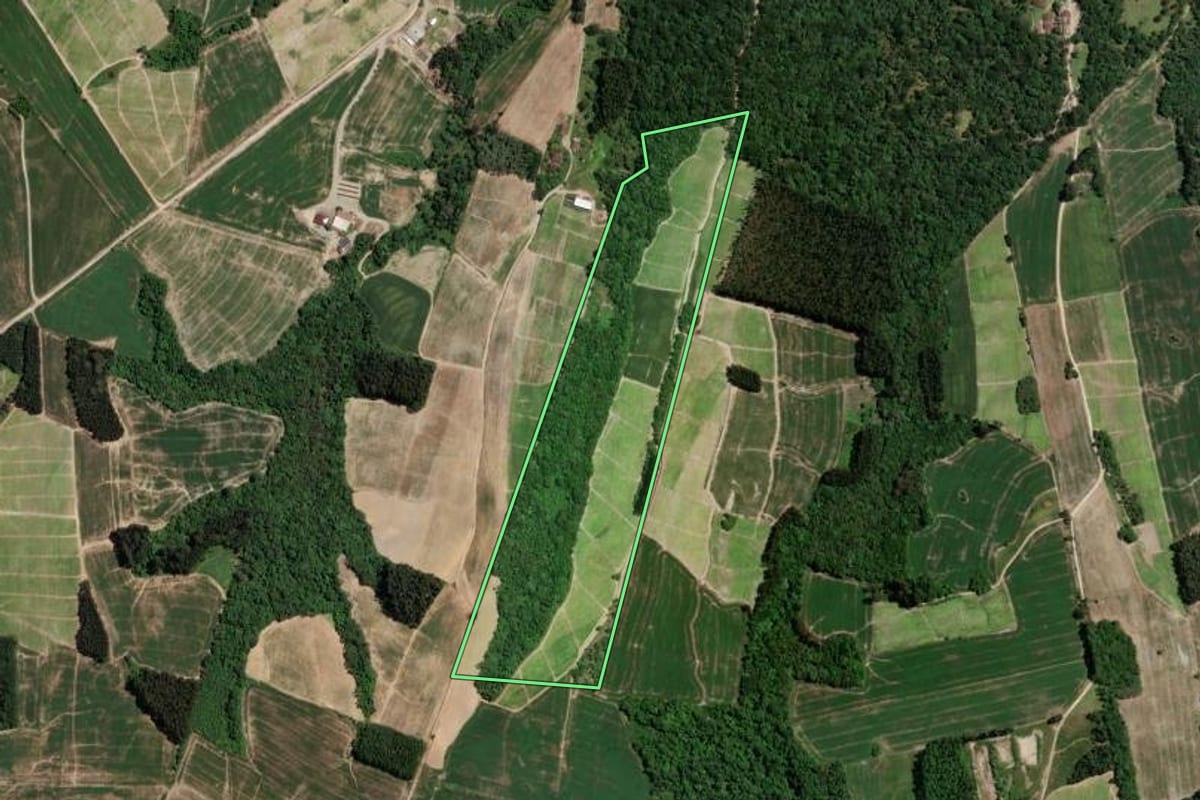 Imagem de satélite do imóvel rural em Rio Azul (PR), com o contorno declarado no CAR desenhado por cima.