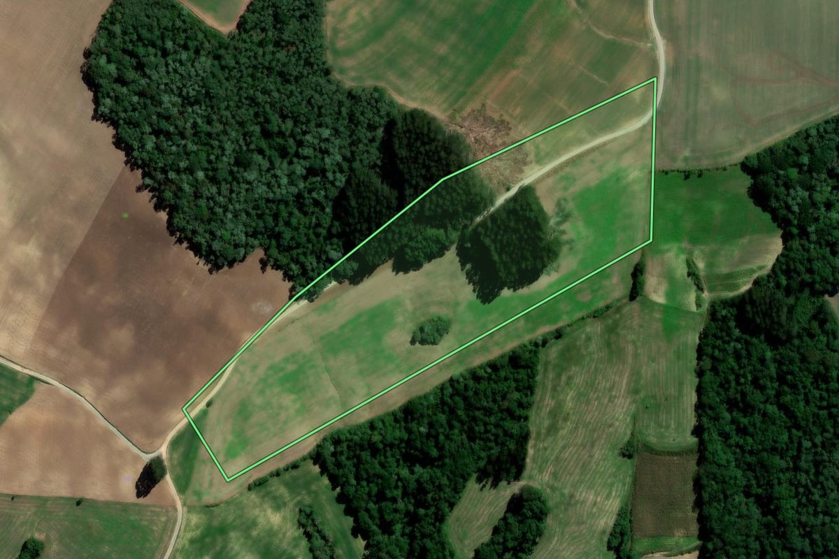 Imagem de satélite do imóvel rural em Rio Azul (PR), com o contorno declarado no CAR desenhado por cima.